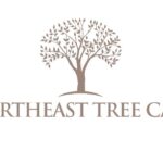 Northeast Tree Care