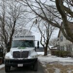 MD TREE SERVICES, LLC